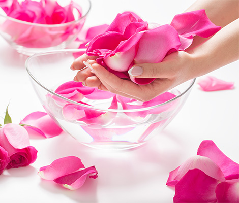 Manicure and rose flower